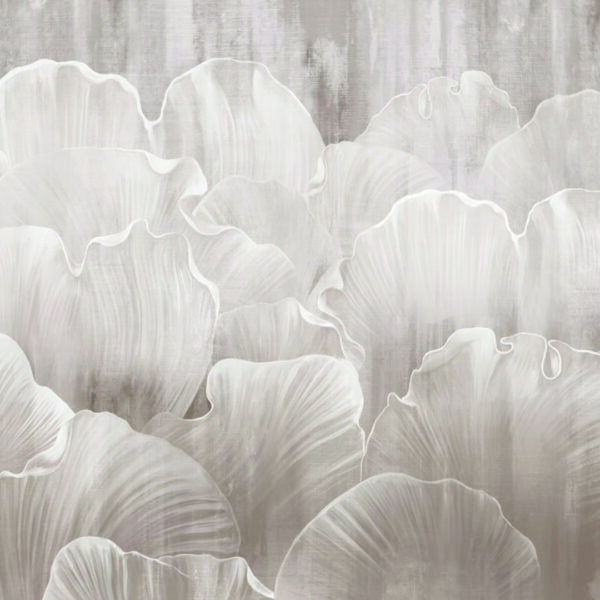 Foto Tapet cveće 56